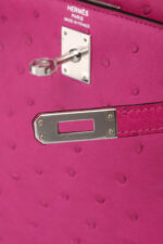 Hermes Birkin Sellier 25 Rose Pourpre Ostrich Palladium Hardware – Madison  Avenue Couture